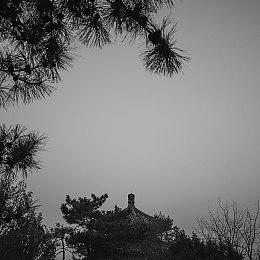 《死亡循环》总监被提拔为Arkane里昂工作室领导